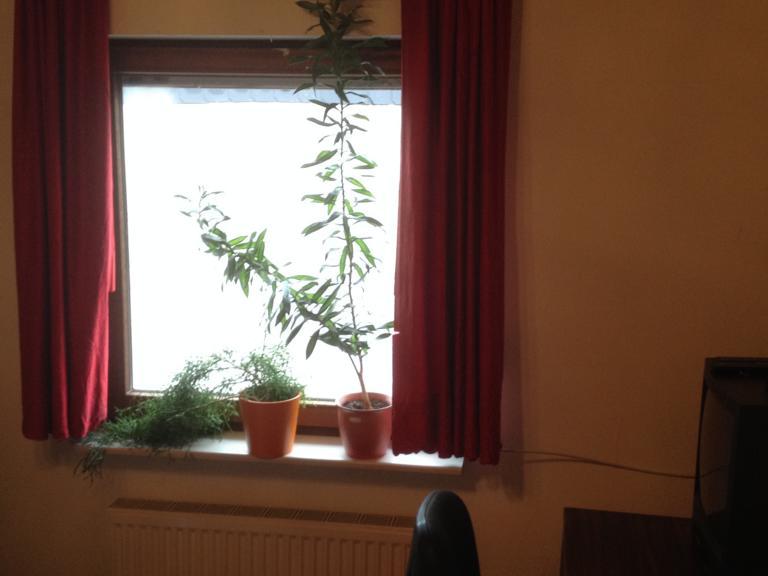 Monteurzimmer Schalkenbach